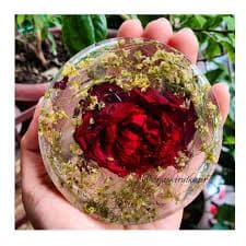 Romantic flower preservation